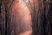 河北华夏幸福连捷光荣入榜，立下赛季旗帜牢固，为更多胜利全力以赴