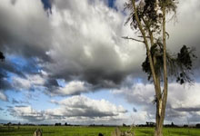 小牛内线防守告急，需要补强