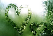 欧预赛赛场惊现绝杀一幕：球迷沸腾欢呼不止